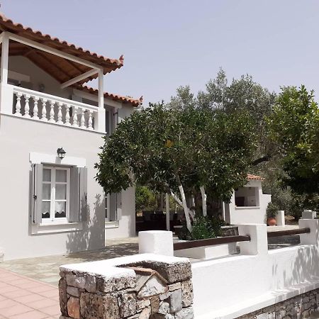 Villa Tillia Panormos  Eksteriør bilde