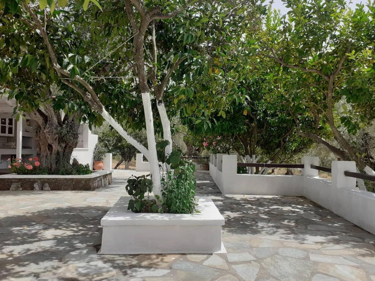 Villa Tillia Panormos  Eksteriør bilde
