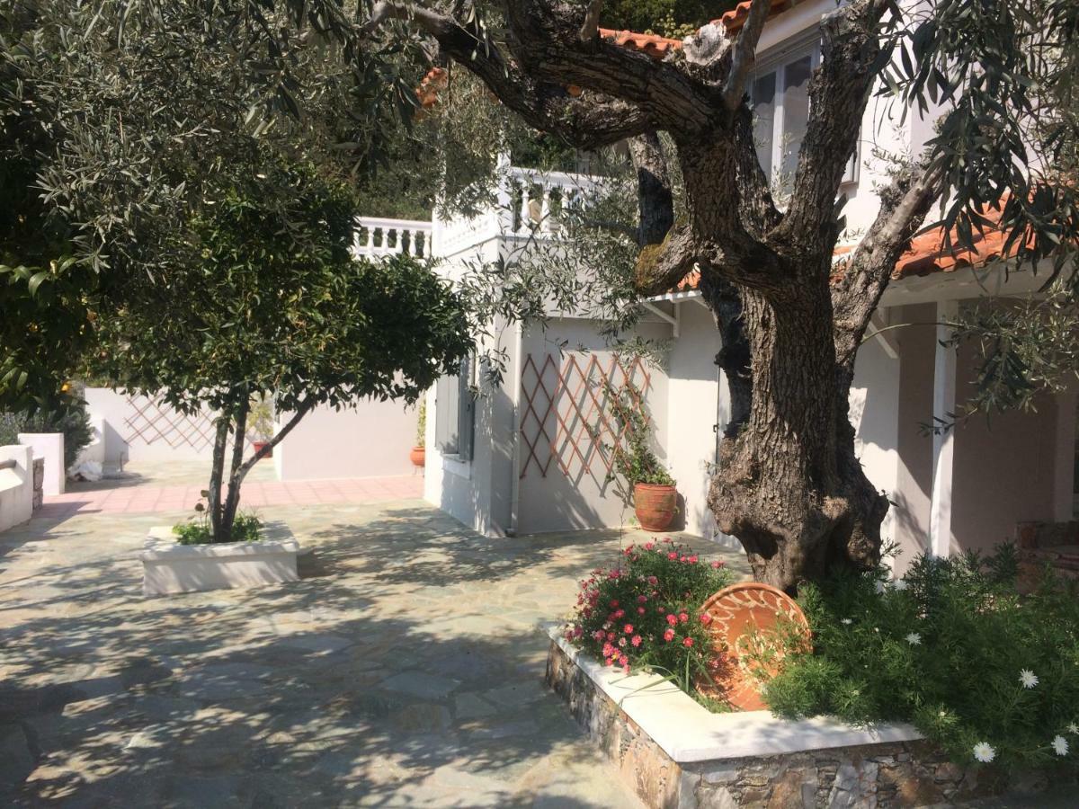 Villa Tillia Panormos  Eksteriør bilde